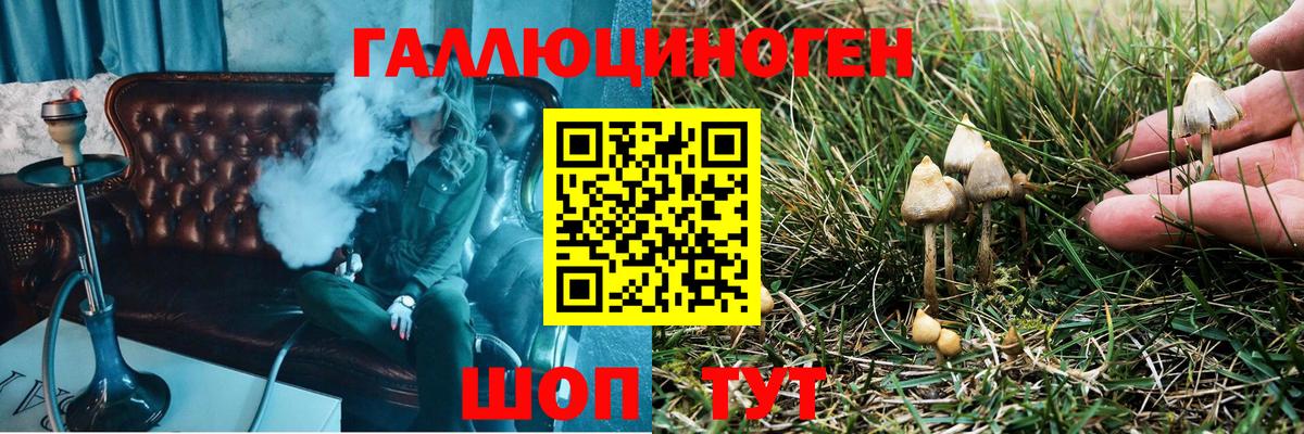 Галлюциногенные грибы MAGIC MUSHROOMS Мариинск